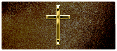 DNSEMP-L-510-GD-SH-BR Gold Single Cross Shimmer Brown